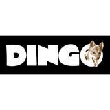 files/Dingo-Logo---web.jpg